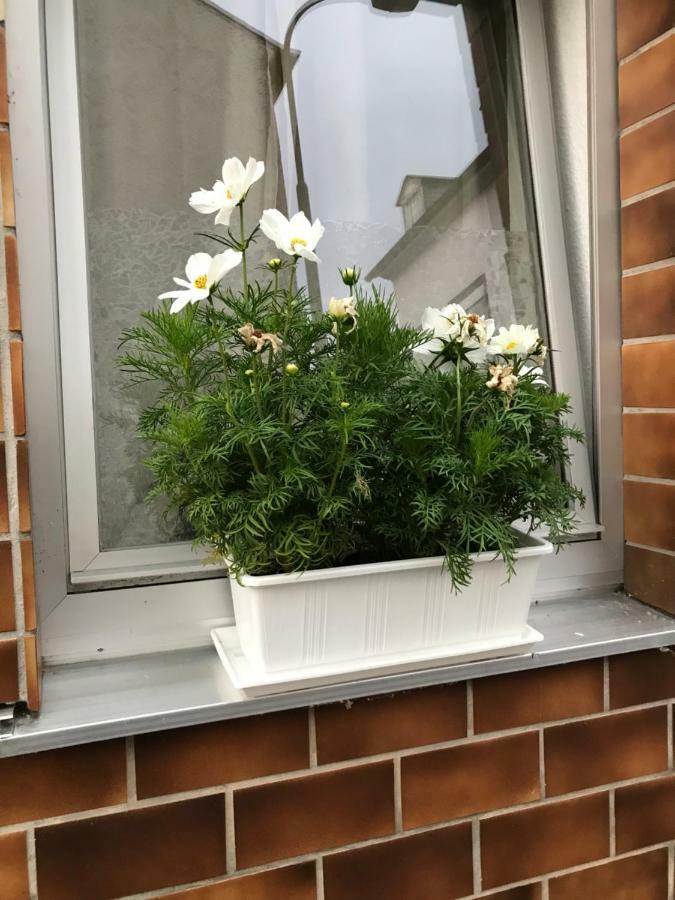 Ferienhaus Loehr Mit Treppenlift Villa Koblenz  Exterior foto